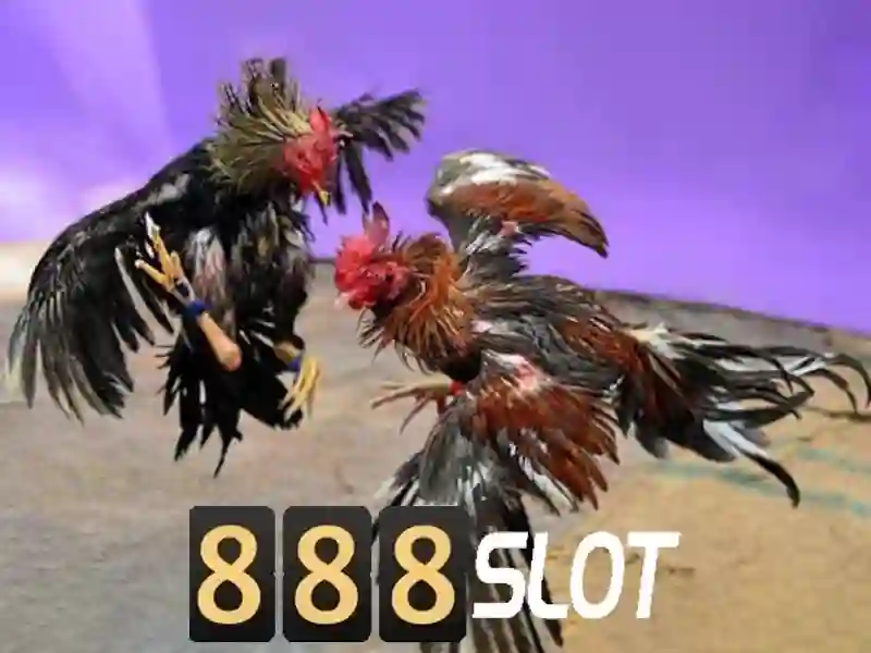 888slot – Nền tảng slots trực tuyến hàng đầu