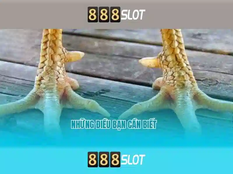 888slot – Nền tảng slot trực tuyến uy tín
