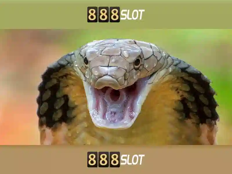 888slot: Trang web casino trực tuyến nổi bật tại Việt Nam