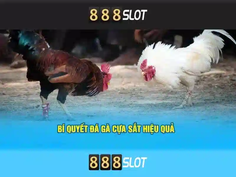 Tổng quan chủ đề và giá trị cốt lõi của agen slot 888