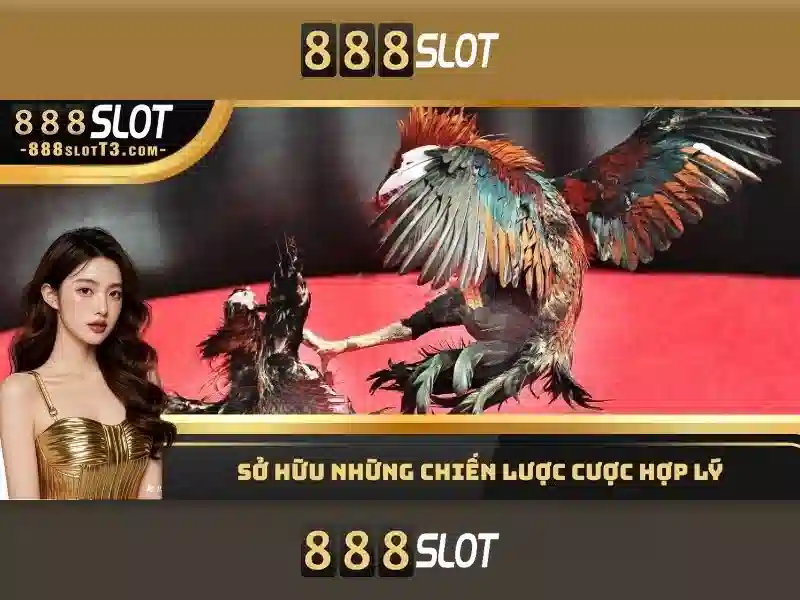 Trải nghiệm người dùng và hỗ trợ