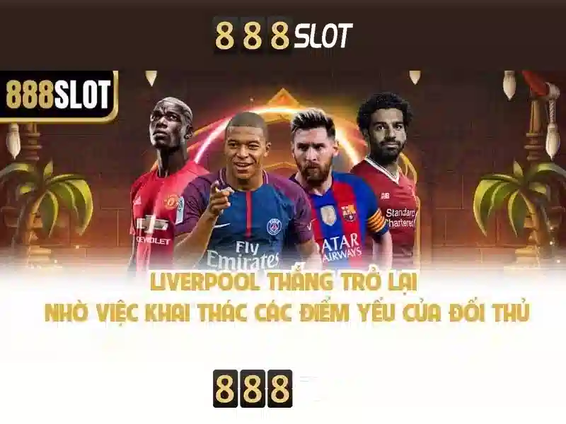 Các sản phẩm và dịch vụ của mr 888 slot – ứng dụng và demo