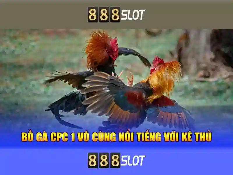 888slot: Tổng quan về nền tảng trò chơi slots trực tuyến
