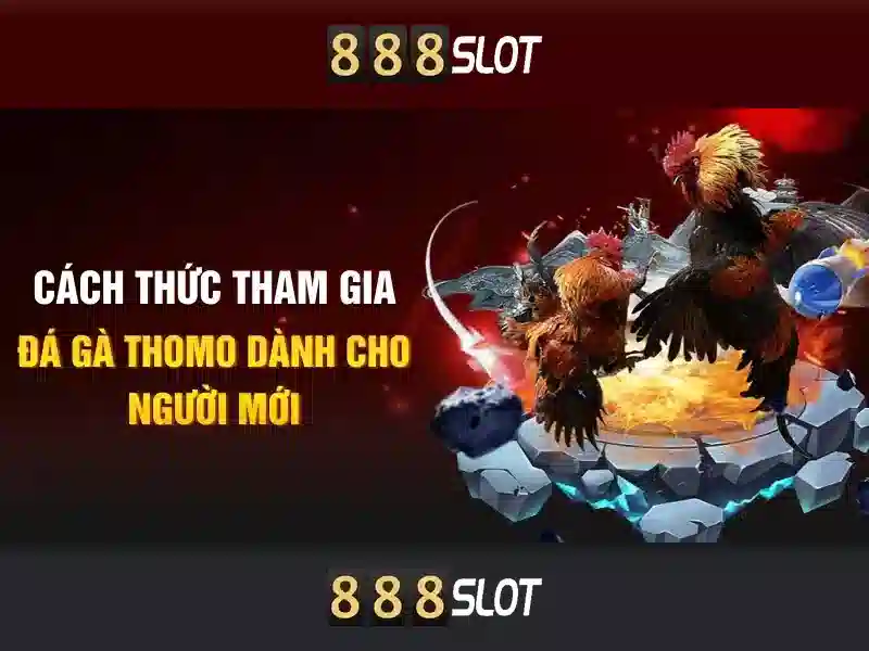 Khuyến mãi và phần thưởng