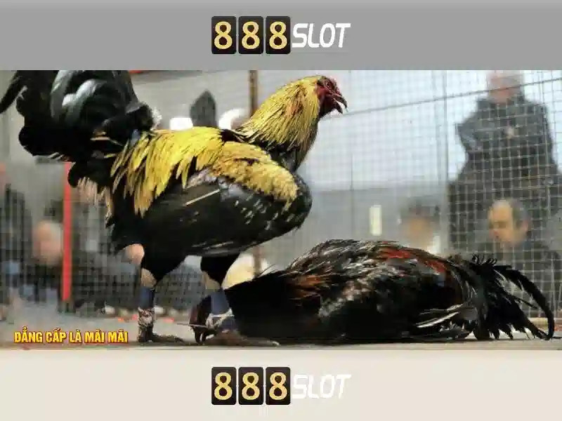 Giao diện sảnh game 888slot hiện đại và bắt mắt