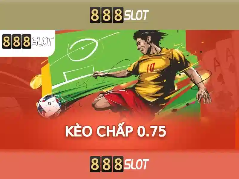 Hỗ trợ khách hàng 24/7 và trải nghiệm người dùng