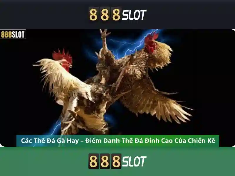 Khuyến mãi và cách thưởng