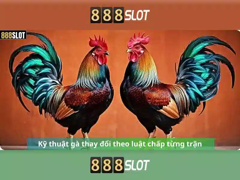 888Slot - Giới thiệu và trải nghiệm