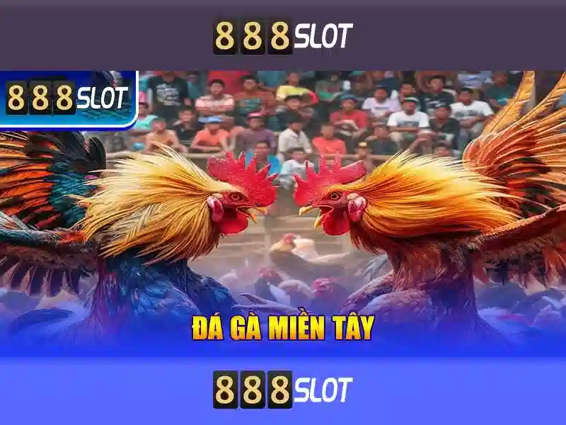 Hướng dẫn đăng ký và thanh toán