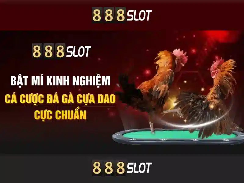 Khuyen mai va hoan tien