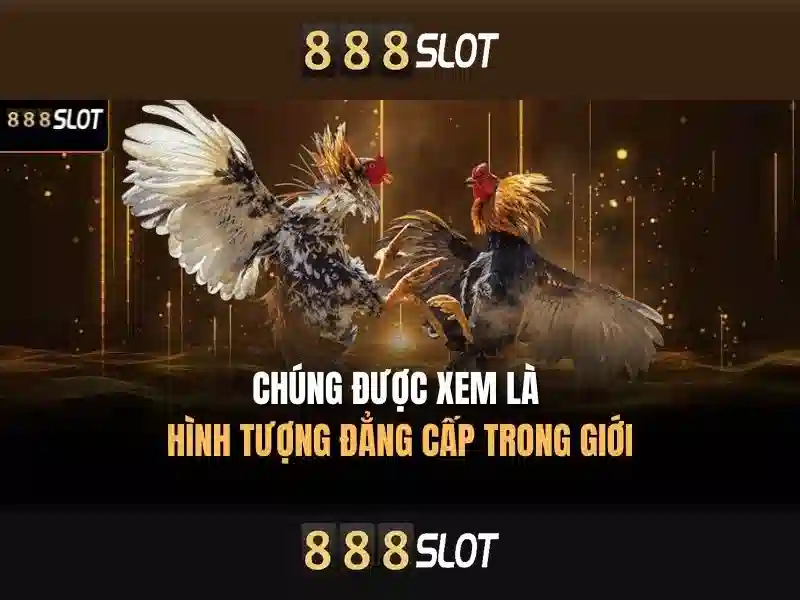 888slot - Sòng bạc trực tuyến uy tín và giải trí với các trò chơi slot