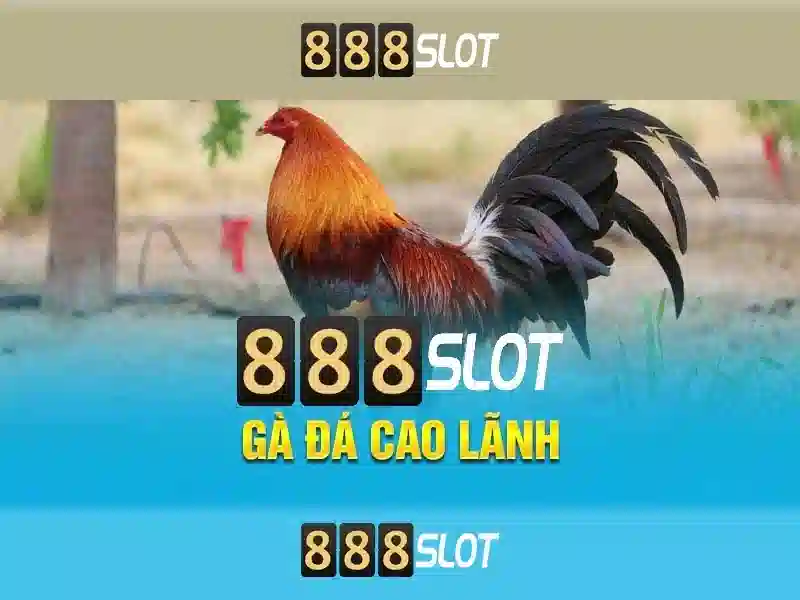 Giới thiệu về 888slot - nền tảng đặt cược trực tuyến