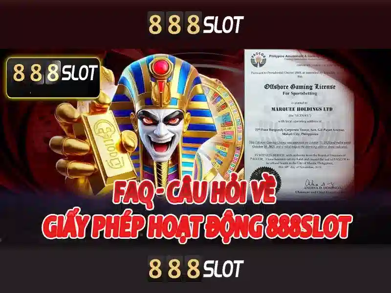 Giao diện và trải nghiệm người dùng