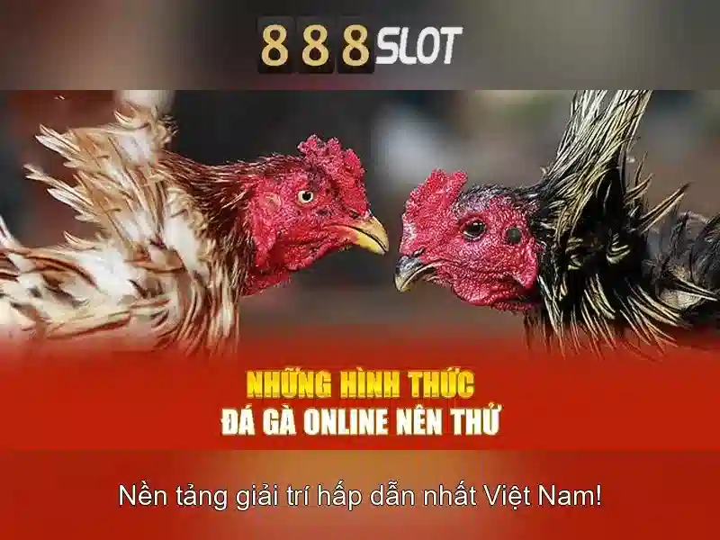 An toàn và thanh toán