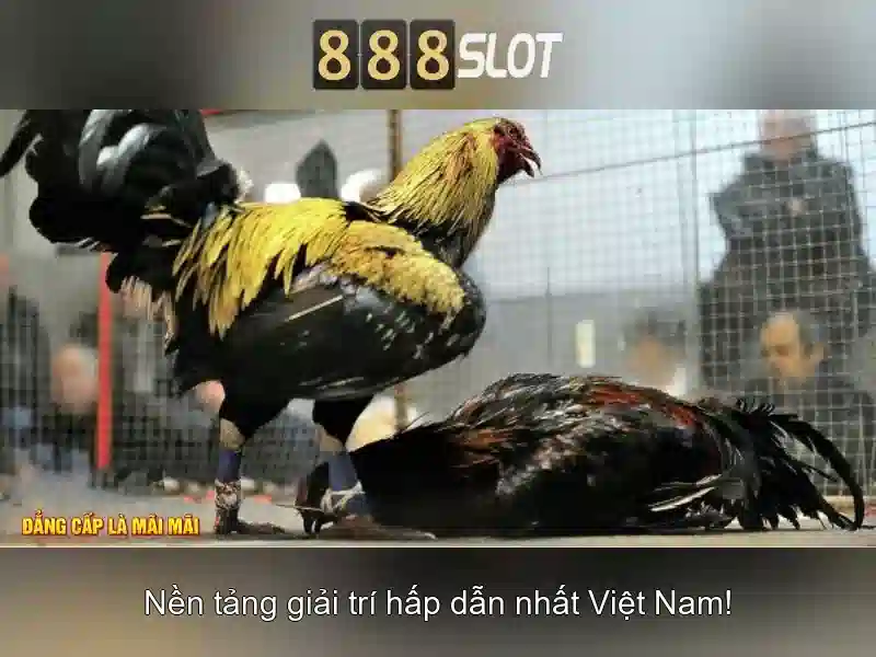 888slot: Đánh giá và trải nghiệm chơi slots trực tuyến