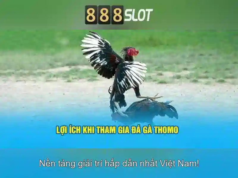 Đánh giá 888slot: nền tảng casino trực tuyến an toàn và tiện lợi