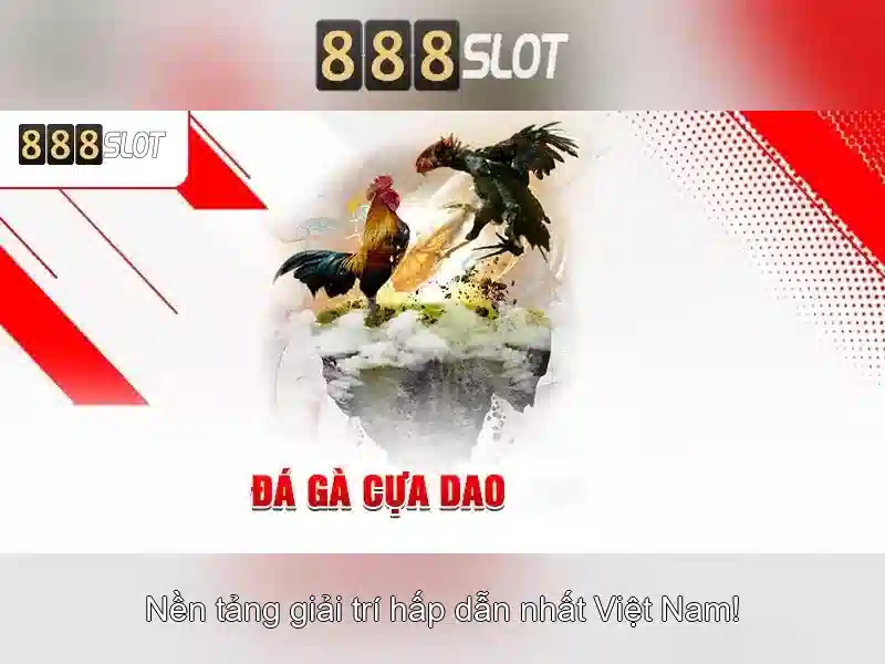 Trải nghiệm người dùng và giao diện