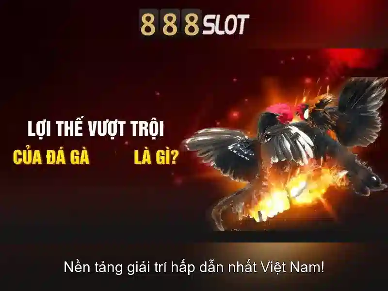 Giới thiệu về 888slot