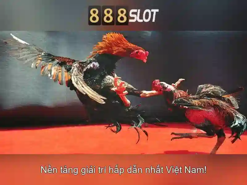 Khuyến mãi và thưởng